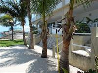 Penthouse Coconut Apartment Cozumel Exterior photo